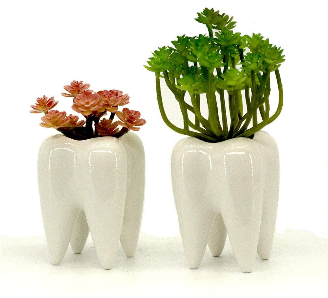 Mecai Set of 2 Tooth Planter Mini White Ceramic Pots for Succulents Plants Cute Office Home Desk Decor for Women Men Dentist Gift Ideas