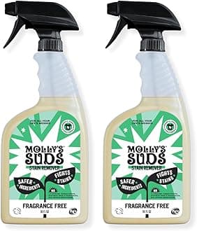 Molly's Suds Stain Remover Spray | Gentle Yet Powerful, Great for Baby & Pet Stains | Clean, Simple Ingredients (Fragrance Free) (16 Fl Oz (Pack of 2))
