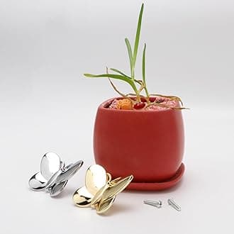 Brosay Silver Butterfly Drawer Knobs Kitchen Hardware for Cabinets Cute Animal Dresser Knobs Furniture Cupboard Handles Single Hole Cabinet Knobs 4 Pcs (Silver)