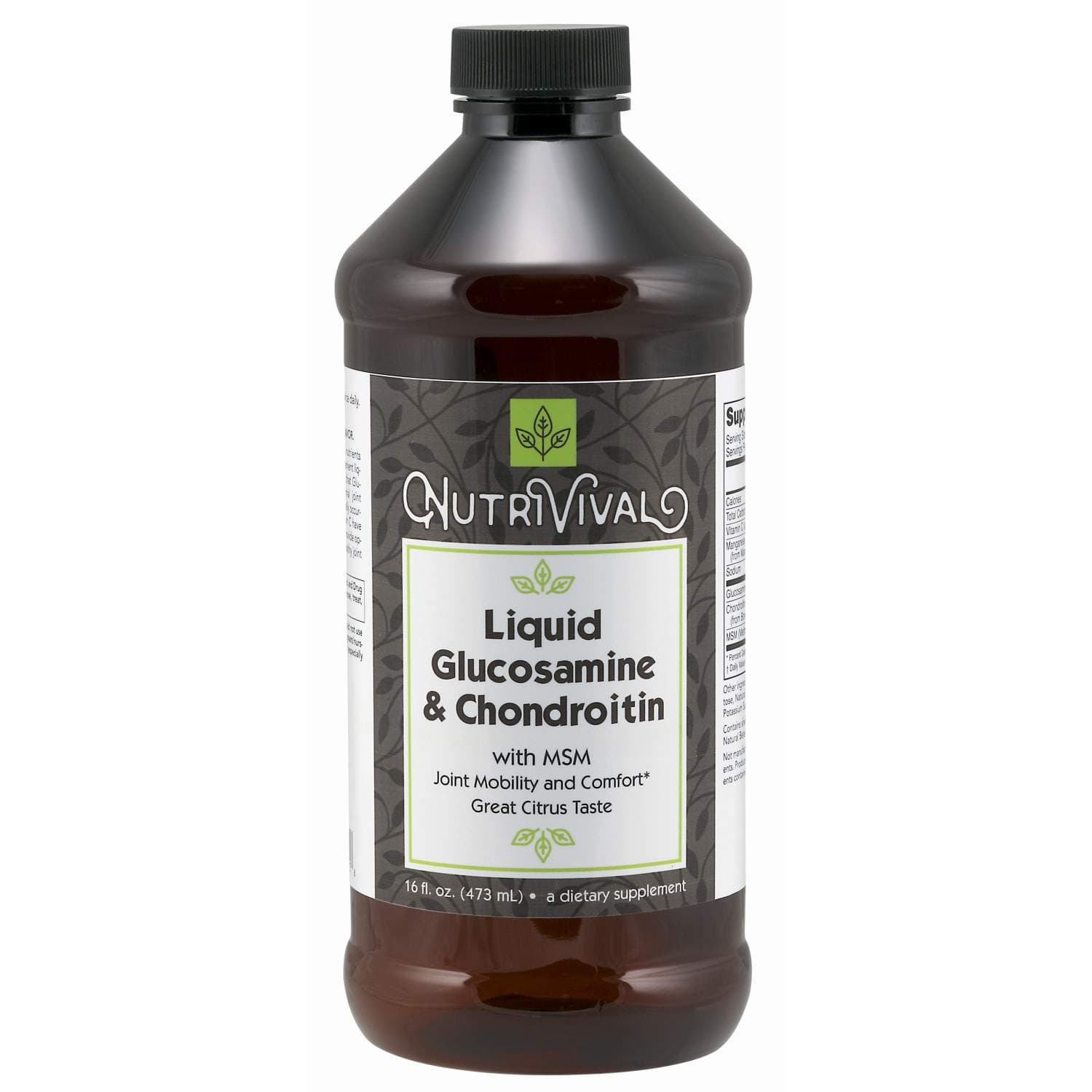 Liquid Glucosamine & Chondroitin with MSM That Offers Joint Support and Comfort with A Great Citrus Taste* 16 Ounce Bottle