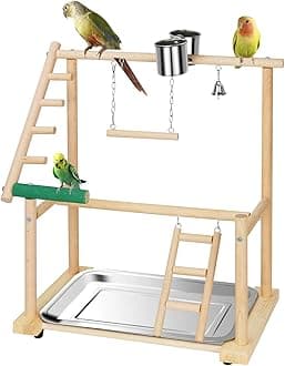 Pet Parrot Playstand Parrots Bird Playground Bird Play Stand Wood Perch Gym Playpen Ladder with Feeder Cups Bells for Cockatiel Parakeet (2 Layers)