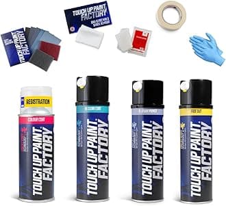 Touch Up Paint Factory - Aerosol Scratch Repair Kit Mixed by Reg Registration Plate Car Touch Up Paint for All Models - Exact Match Guarantee - Pro (Large)