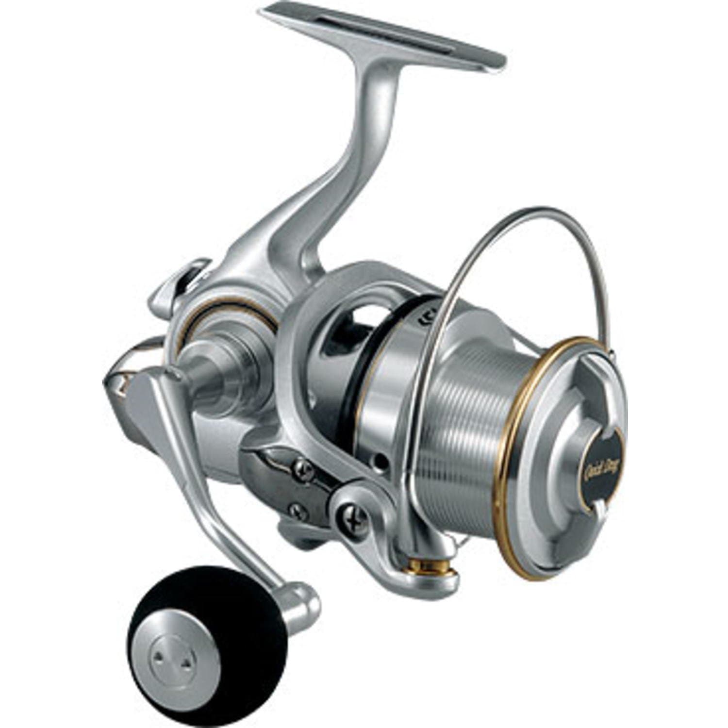 DAIWA Surf Basia 25 QD – 0