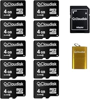 Pack of 10 Micro SD Card 4GB Flash Memory Card C6 Micro SDHC with SD Adapter, Card Reader