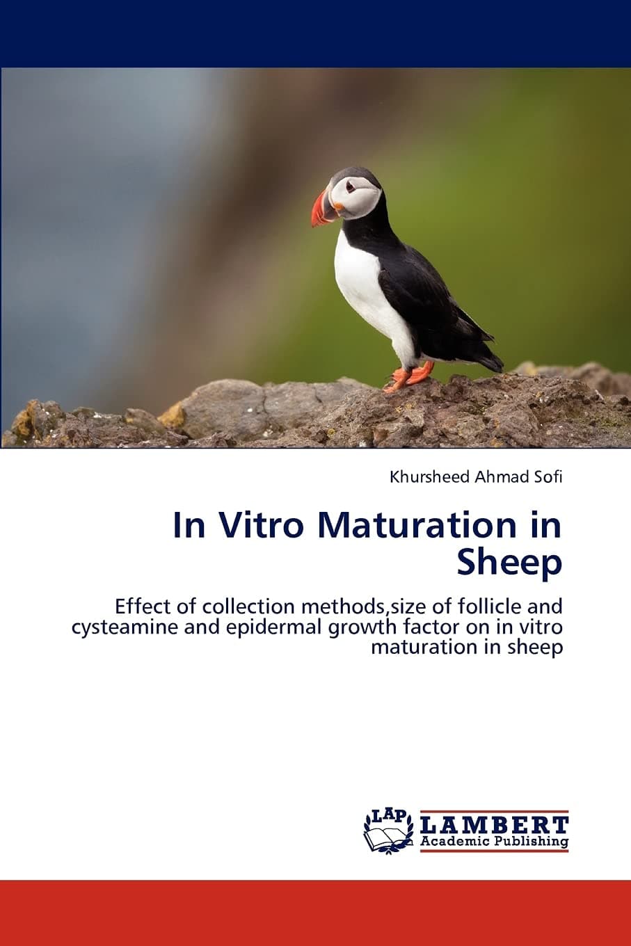 In Vitro Maturation in Sheep: Effect of collection methods,size of follicle and cysteamine and epidermal growth factor on in vitro maturation in sheep