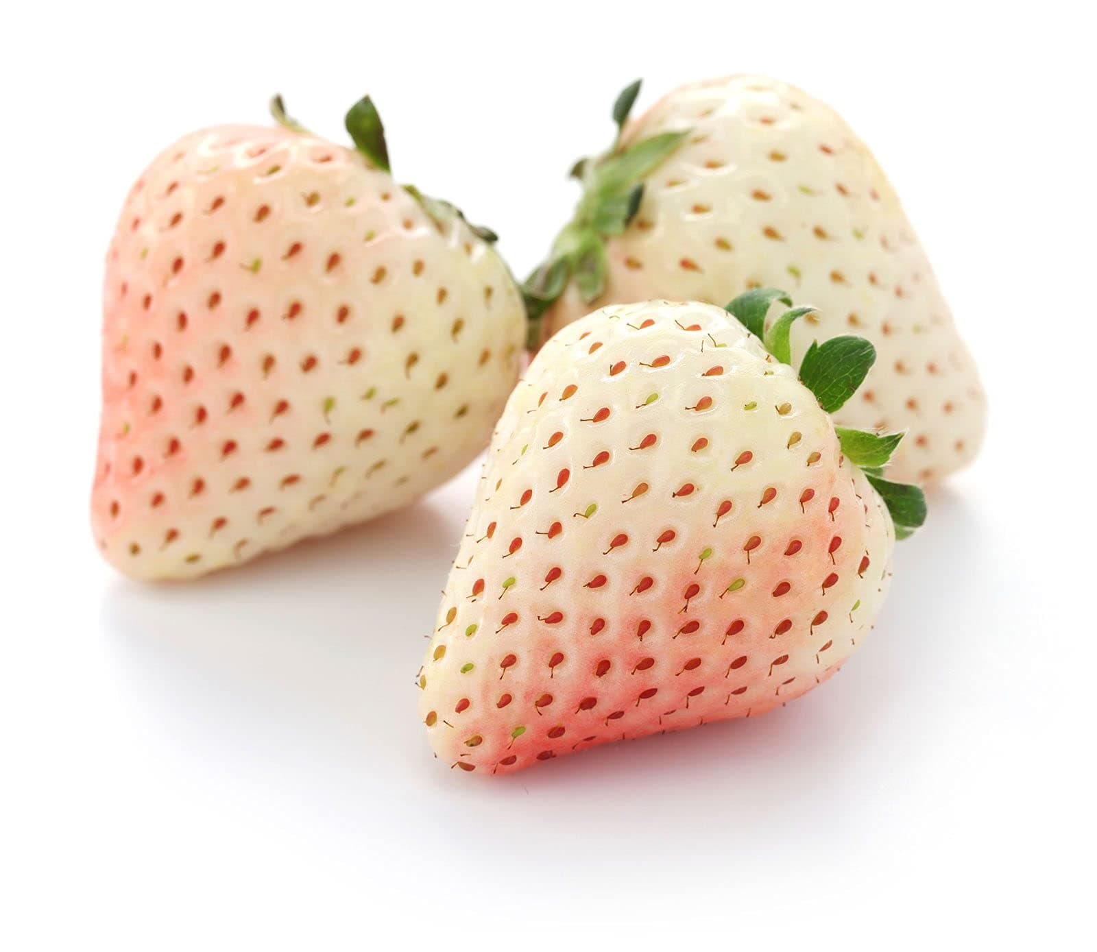 - NEW and RARE Japanese WHITE Strawberry 'White Asuka Ruby' Super sweet 30 SEEDS
