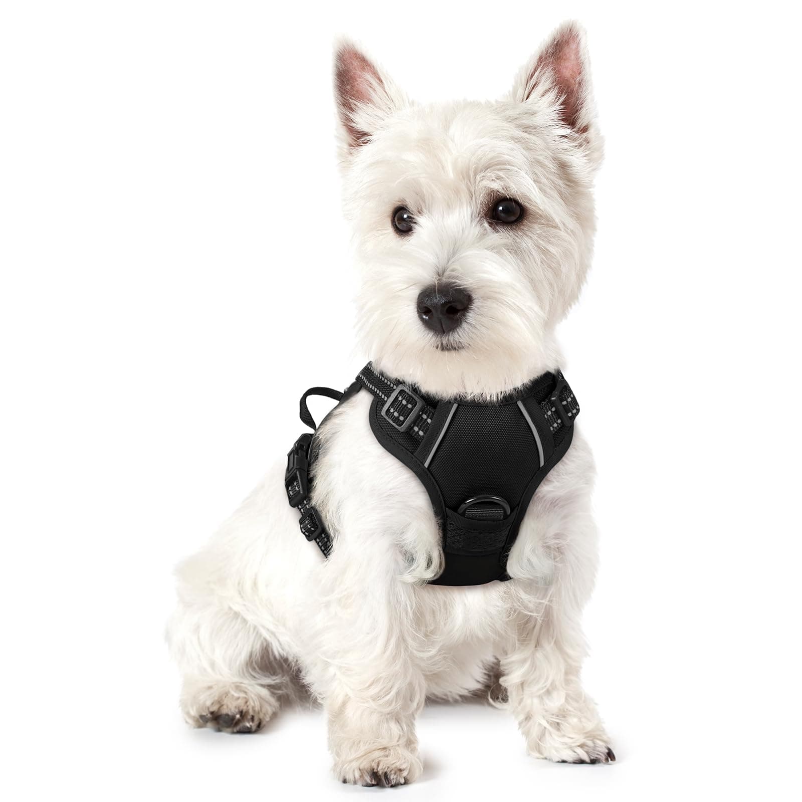 rabbitgoo Dog Harness Small Dog No Pull Pet Harness with 2 Leash Clips, Adjustable Soft Padded Pet Vest Harness, Reflective No-Choke with Easy Control Handle for Training or Walking, Black, XS