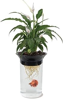 Penn Plax Aquaponic Betta Fish Tank Promotes Healthy Environment for Plants and Fish .5 Gallon Capacity