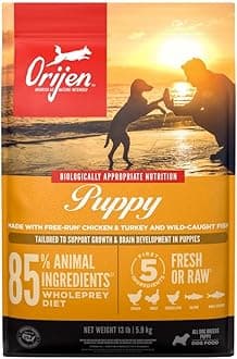 ORIJEN Grain Free High Protein Dry Dog Food Puppy Recipe 13lb Bag