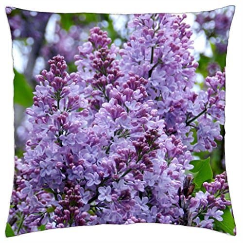 12 FOAM CLOWN NOSES - ONE DOZEN NOSES EACH INDIVIDUALLY SEALED!