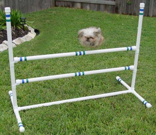 Weave Poles Dog Agility - 3 Single Double-Bar Jumps