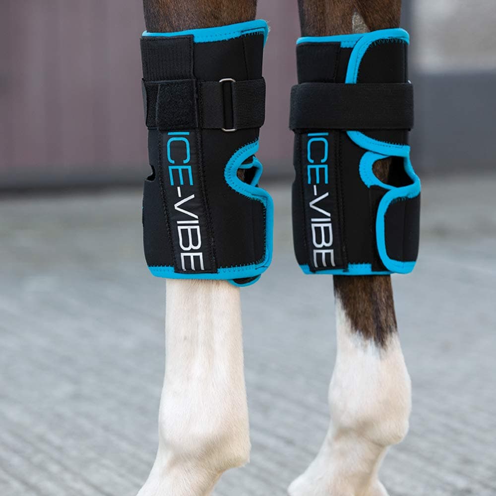 Ice Vibe Knee Wrap Therapy Horse Boot Full Size Black Aqua