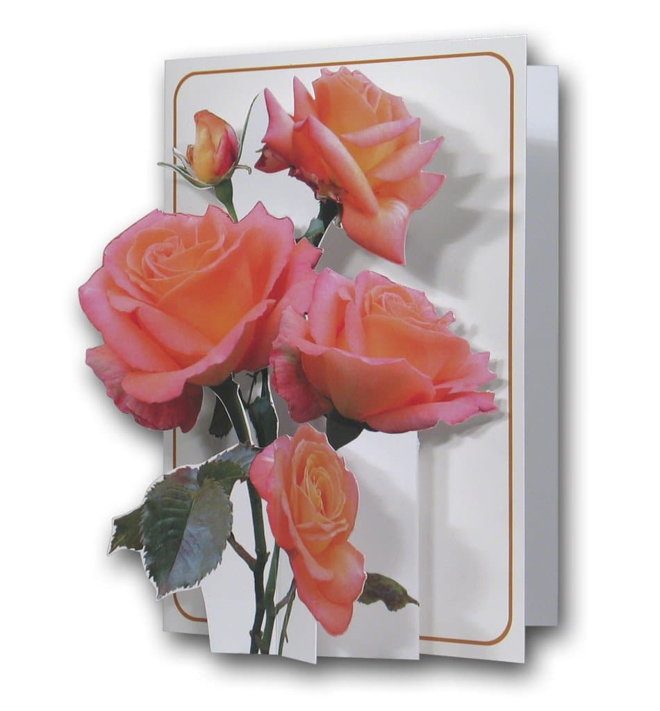Pink Roses - a 3D Pop Up Greeting Card from