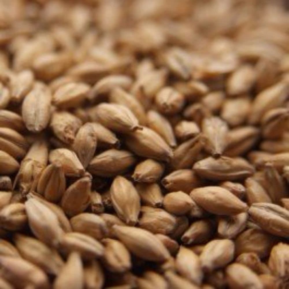 Simpsons Golden Promise™ 10 lb