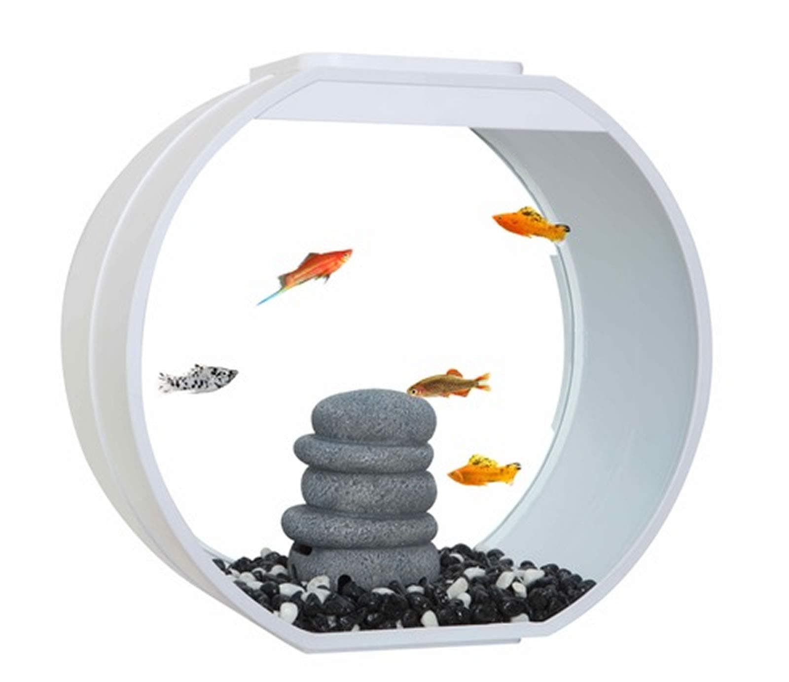 Fish R Fun Deco O Fish Tank White 20L