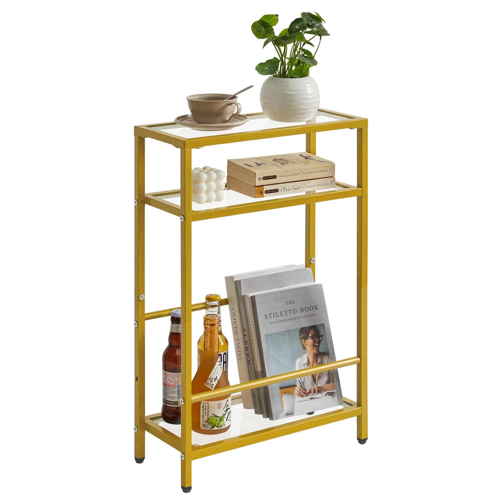 IBUYKE Glass End Table for Small Space, Narrow Side Tables with Storage Shelf, Bedside Table Slim Nightstand with Magazine Holder, for Living Room Home Office, Clear Gold TMZ002G