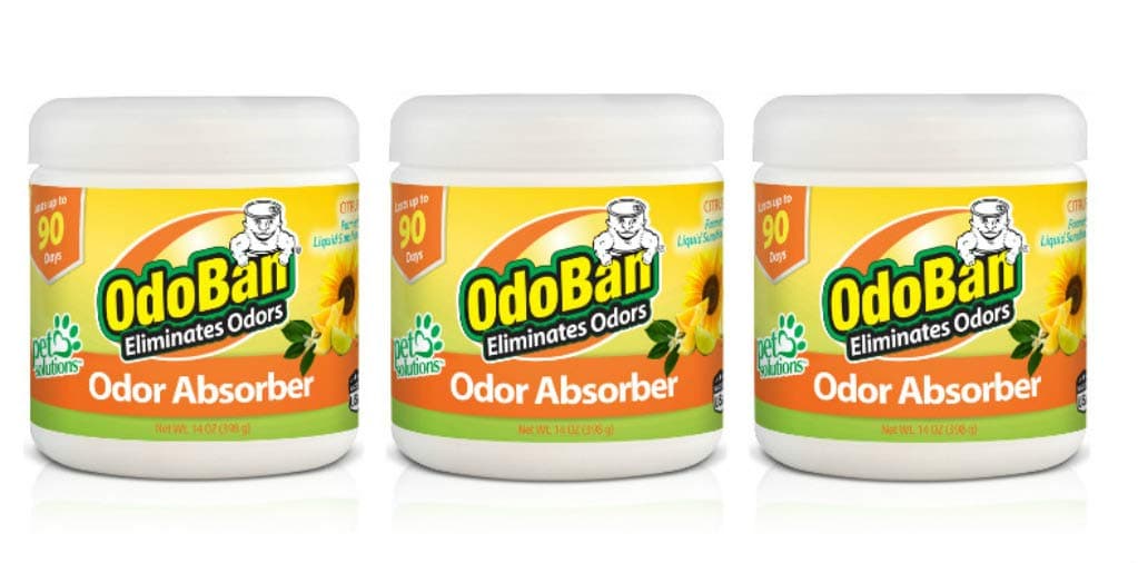 Solid Odor Absorber Eliminator for Home and Small Spaces, Citrus Scent, 14 Ounces Each, 3-Pack