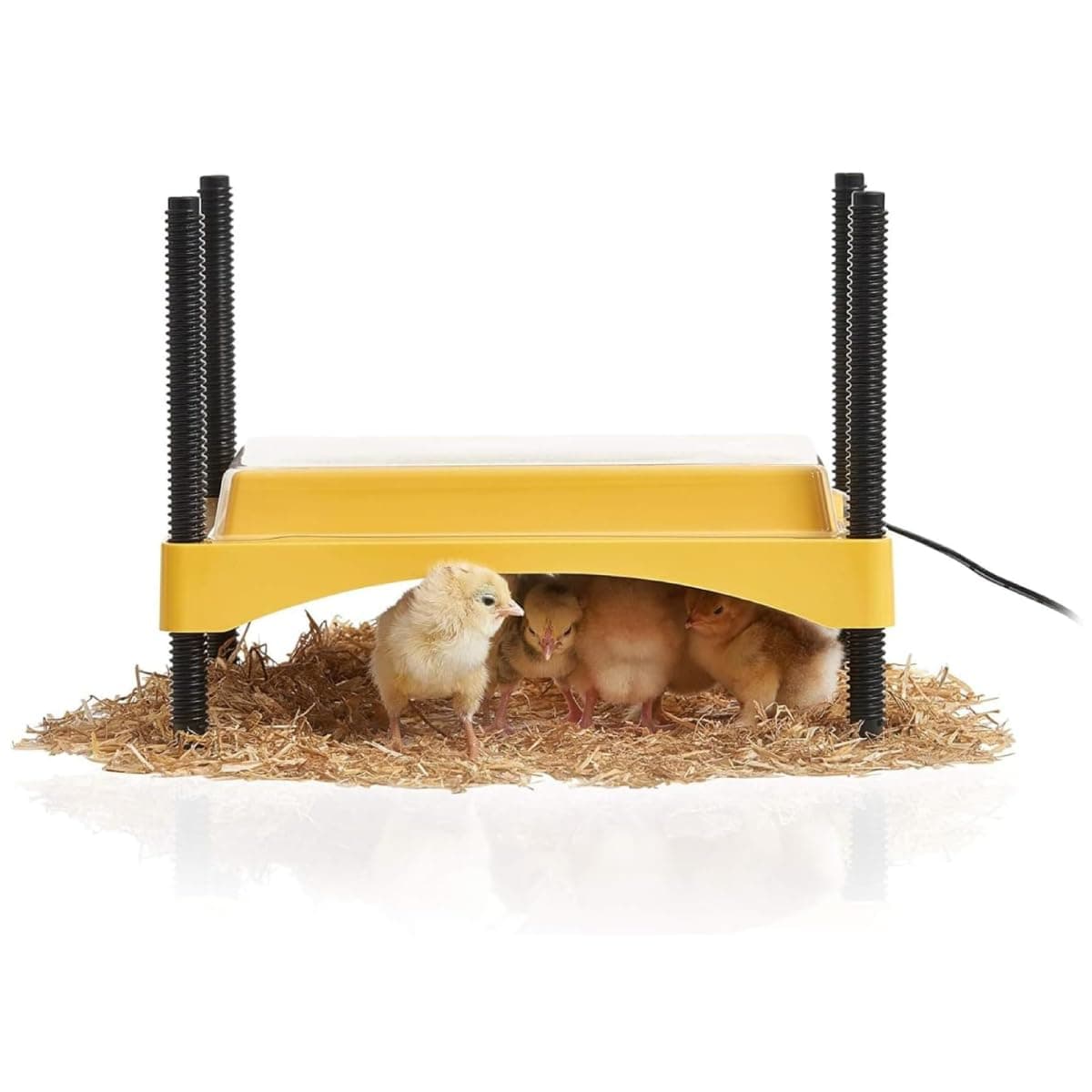 Brinsea Ecoglow Safety 600 Brooder Plate for up to 20 Chicks - Energy Efficient 12 Watt Heat Plate for Ducklings and Poultry - Adjustable Low Voltage Design