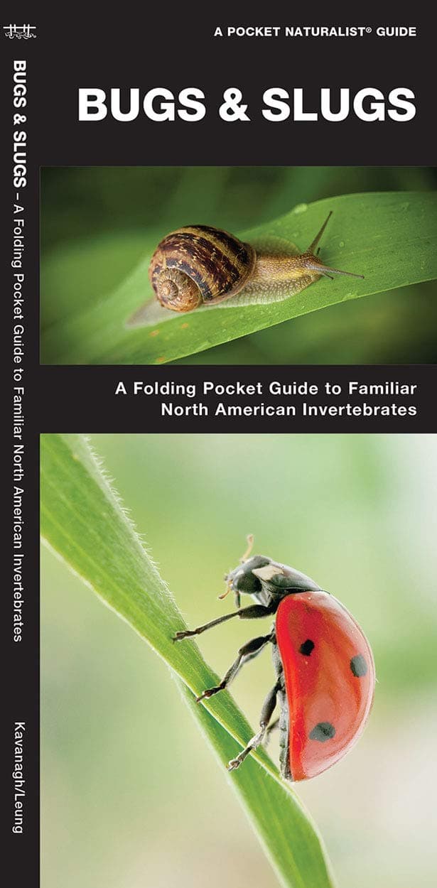 Bugs & Slugs: A Folding Pocket Guide to Familiar North American Invertebrates (A Pocket Naturalist Guide)