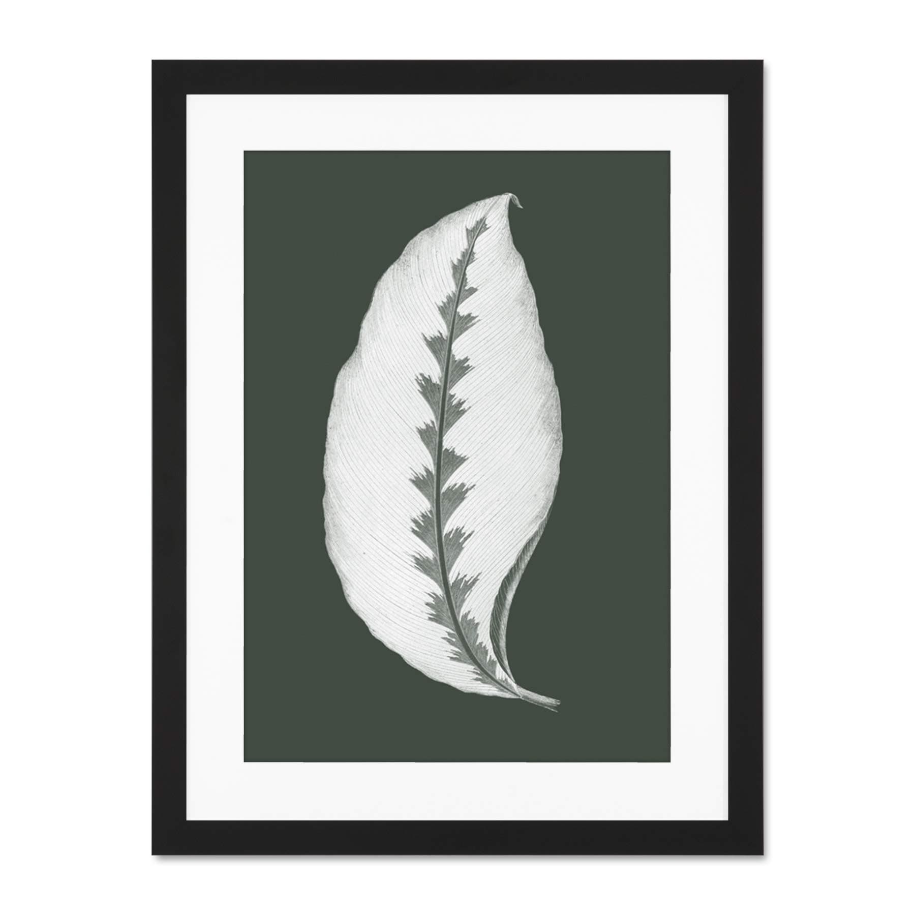 Wee Blue CooBotanics Hunter Green Jungle Leaf Large Black Framed Art Print Wall Poster 18x24 inch