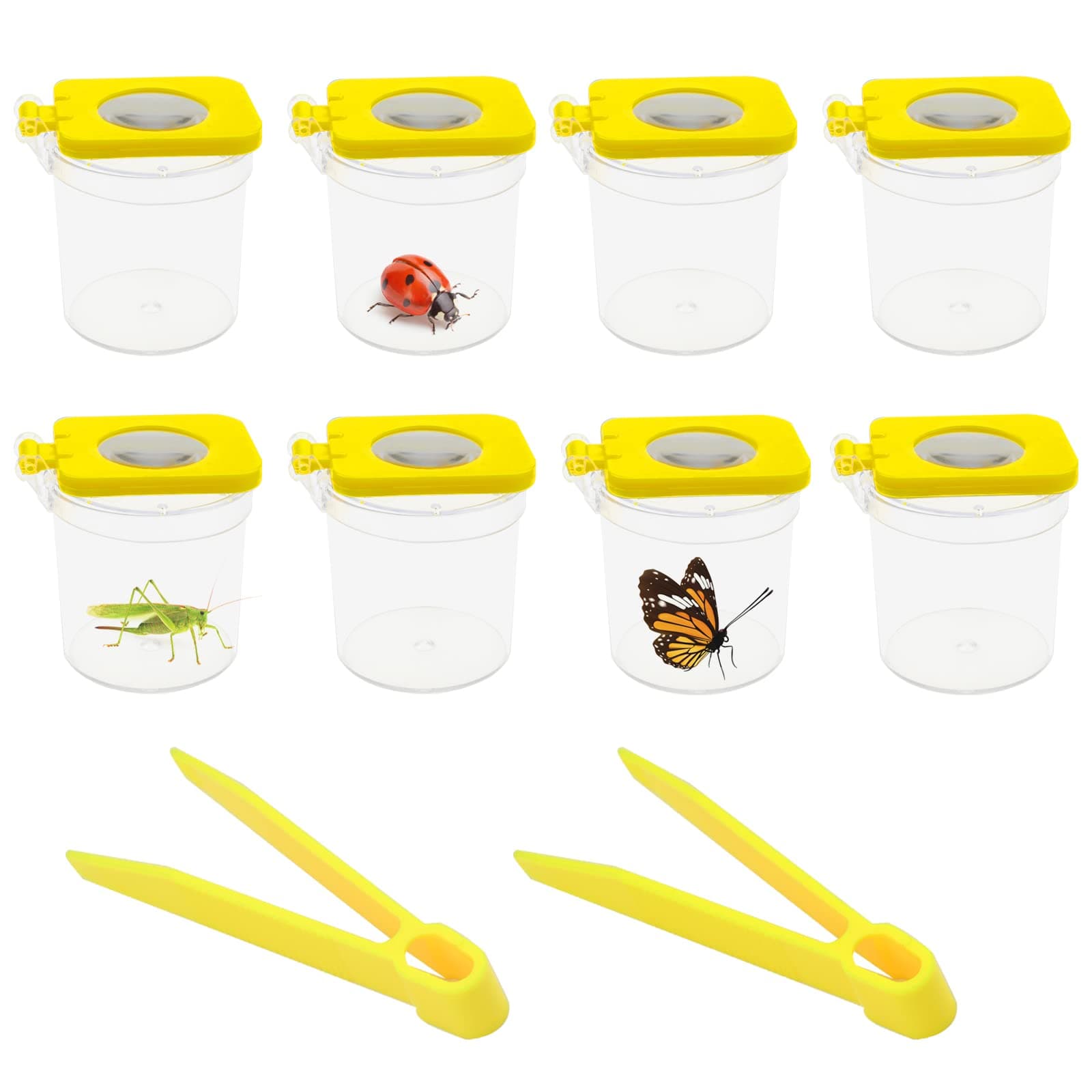 TSLBW Magnifying Insect Viewer Box 6PCS Magnifying Insect Container with 2pcs Tweezers Clear Kids Bug Box Bug Pots Portable Insect Observation Box for Natural Educational Science Learning