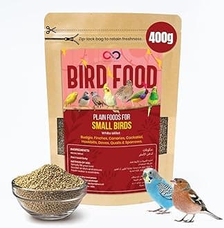 Brandsfinity 400g Bird Food for Small Birds – White Millet Bird Feed for Budgies, Canaries, Zebra Finches, Love Birds, Birdhouses, Outdoor Feeders