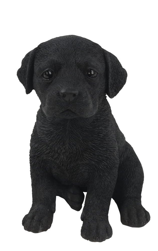 Hi-Line Gift Ltd Labrador Puppy Statue, Black