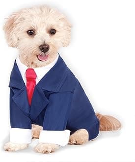 Rubie's Business Suit Pet Costume, As Shown, M (Pack of 1)