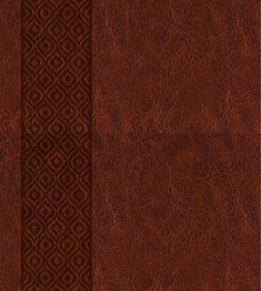 KJV Expressions Bible: Journaling Through God's Word