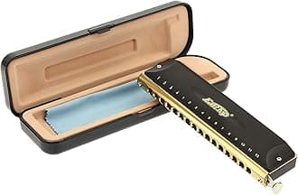 16 Holes 64 Tones Chromatic Harmonica Key of C, Chromatic Mouth Organ Harmonica For Adults, Professionals and Students (BK)
