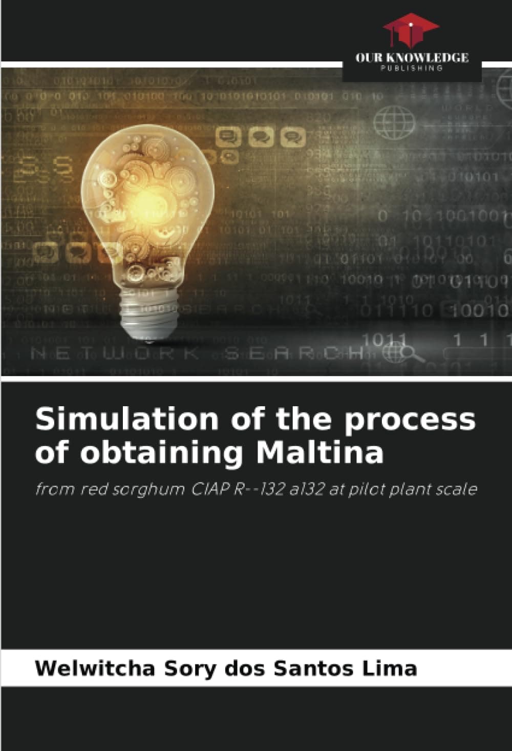 Simulation of the process of obtaining Maltina