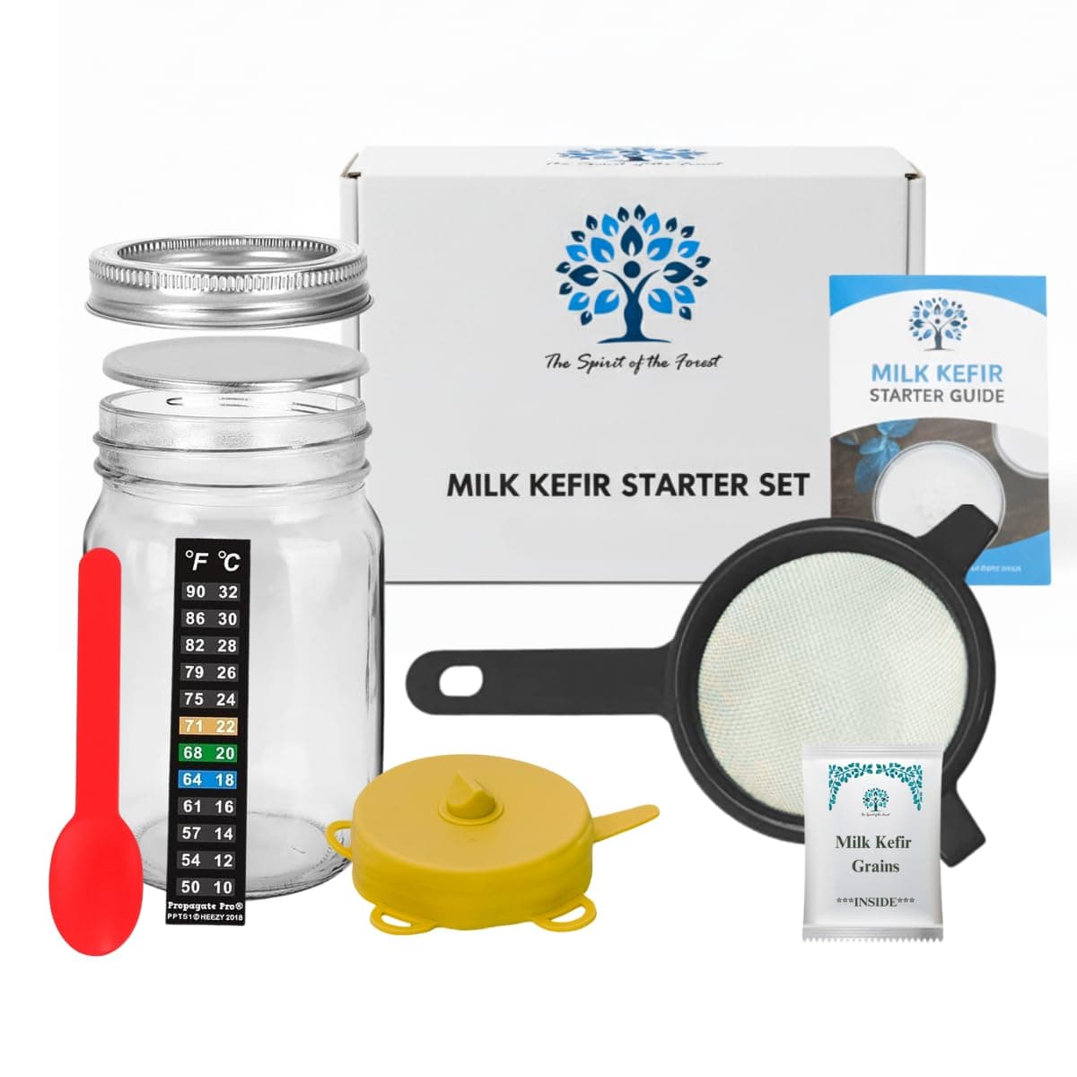 Original Milk Kefir Lebanese Starter COMPLETE SET w/ Grains - Active Probiotic Starter Cultures Easy Care Culture Bulgaros De Leche Reusable NO Loss Of Nutrients Natural, Non GMO, Gluten Free HomeMade