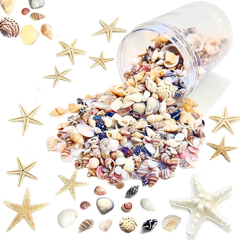 1500 PCS sea Shells Small Natural Starfish Mixed Beach Snail Seashells are Suitable for Beach Theme Parties,Home Decoration, Various DIY Crafts,Candle Making,Shells,Fish Tank and vase fillers