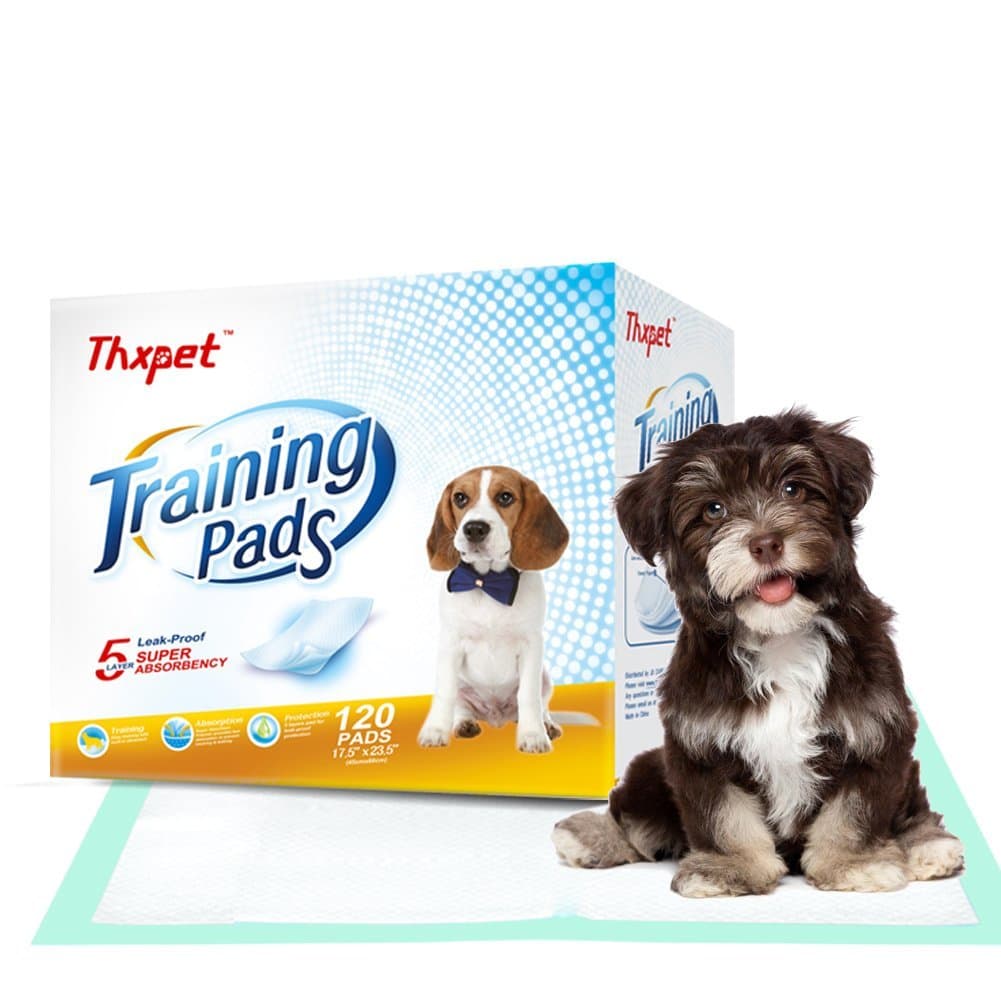 Thxpet Training Pad, Pet Pad for Potty Training, Dog Pad with Color Wetness Indicator 17.5Inch by 23.5 inch M Size 120 Count