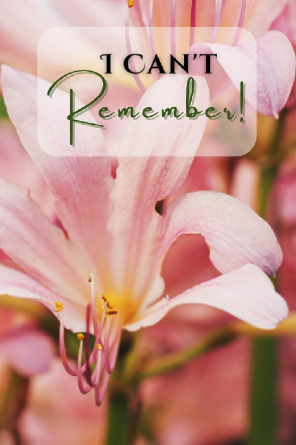 Pink Surprise Lilies: I Can't Remember: Password LogBook: Large Print: Personal Internet & Computer Organizer, Software Licences, Social Media, ... information, Web Addresses, Email, 120 pages