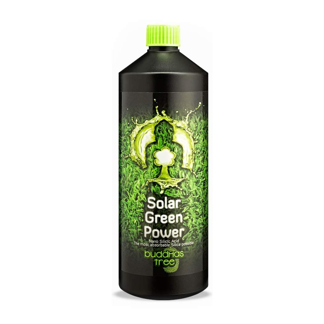 Buddhas Tree Solar Green Power 1L Silicon, Silicic acid, For Soil & Hydroponics