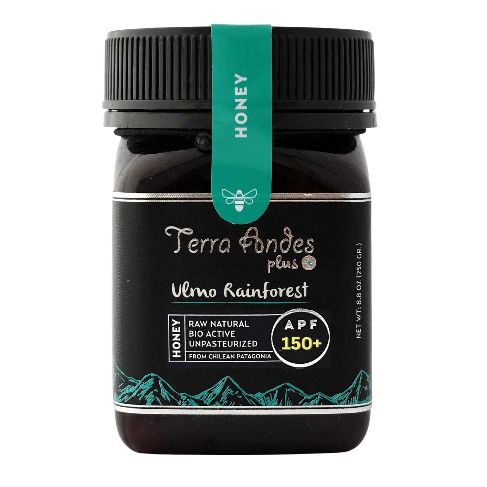 Ulmo Rainforest Raw Honey by TERRA ANDES PLUS | APF 150+ Pure Honey, 8.8 oz