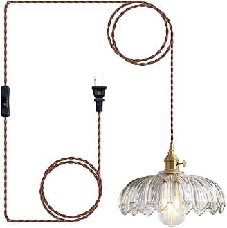 XZHGCEE Plug in Pendant Light Fixtures, Plug in Hanging Lamps Glass Hanging L...
