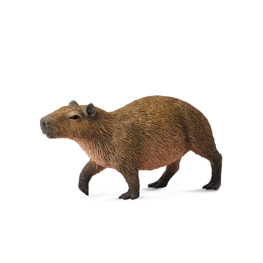 Collecta Capybara Miniature Animal Figurine