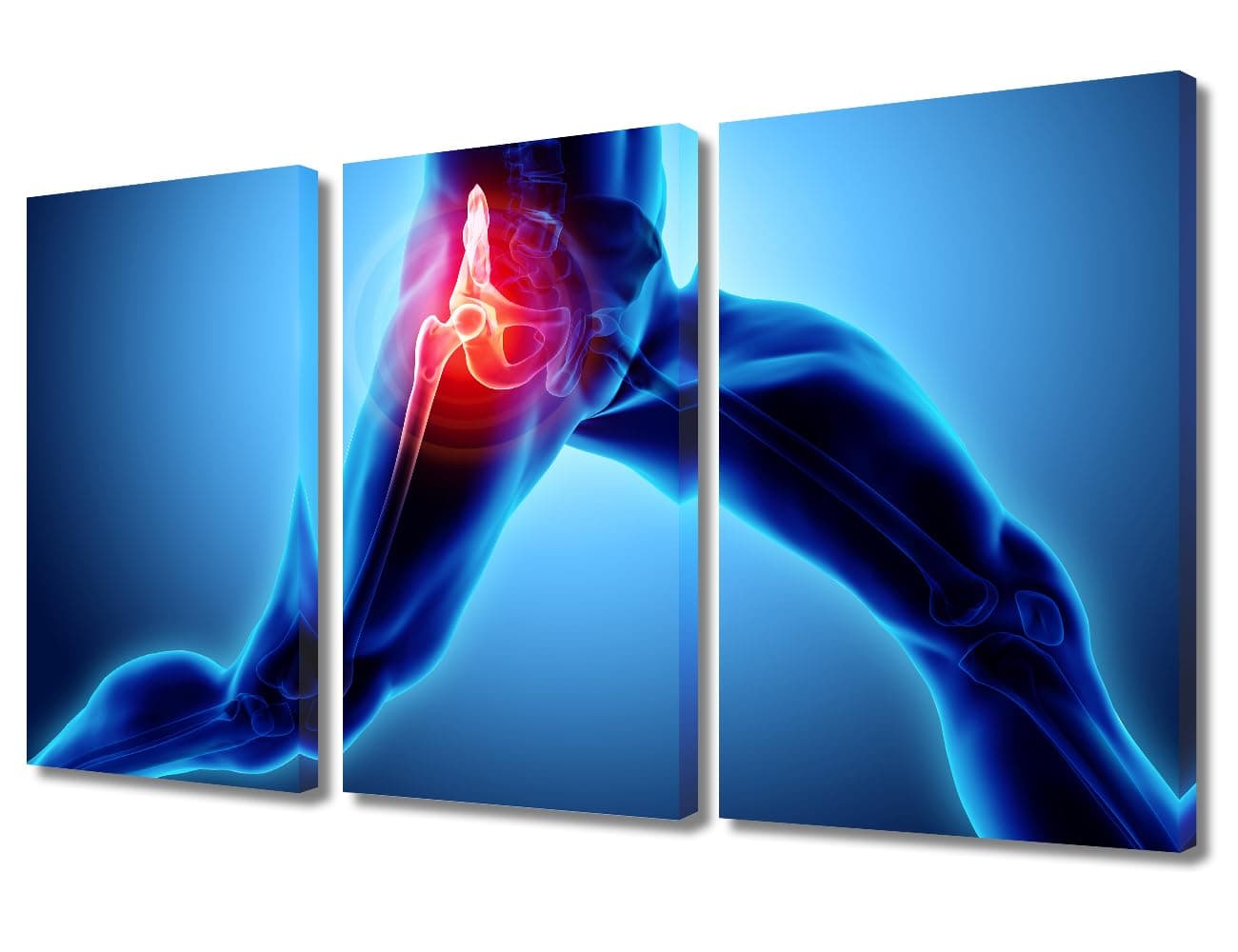 3 Panel X Ray Fitness Center Modern Artwork Wall Decor Poster 3D Modern Artwork Skeleton X-Ray Pictures for Bedroom Giclee Wooden Framed Gallery-Wrapped Ready to Hang 36" Wx24 H