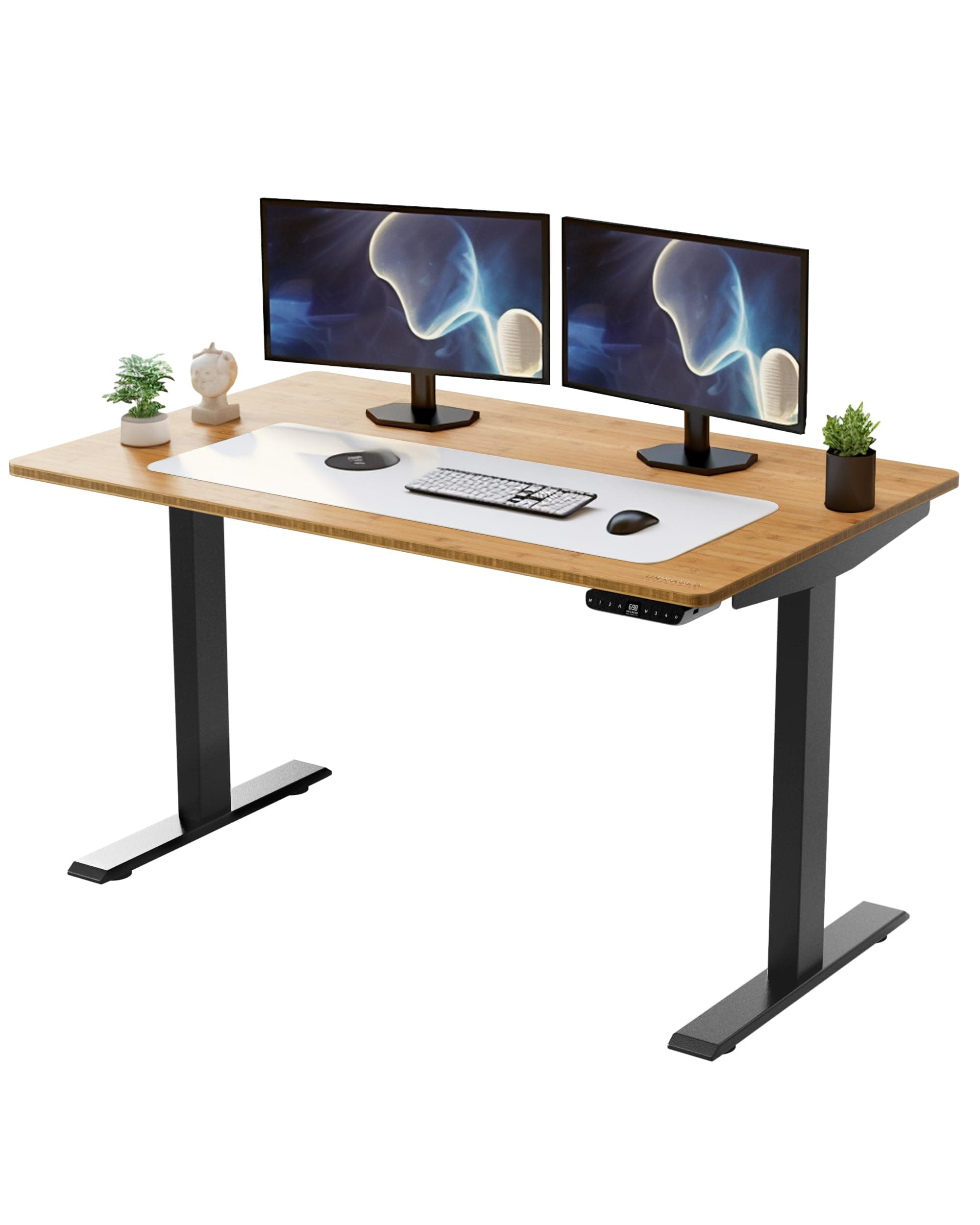 Uncaged Ergonomics Rise Up Electric Standing Desk Adjustable Height 24-49" Dual Motor One Piece 60x30 Bamboo Large Standing Table, Sit Stand Rising Desk Home Office