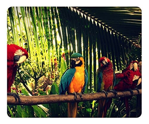 Royal Parrot Wallpaper New Year Mouse Pad - Durable Office Accessory Desktop Laptop MousePad and Gifts For Gaming mouse pads