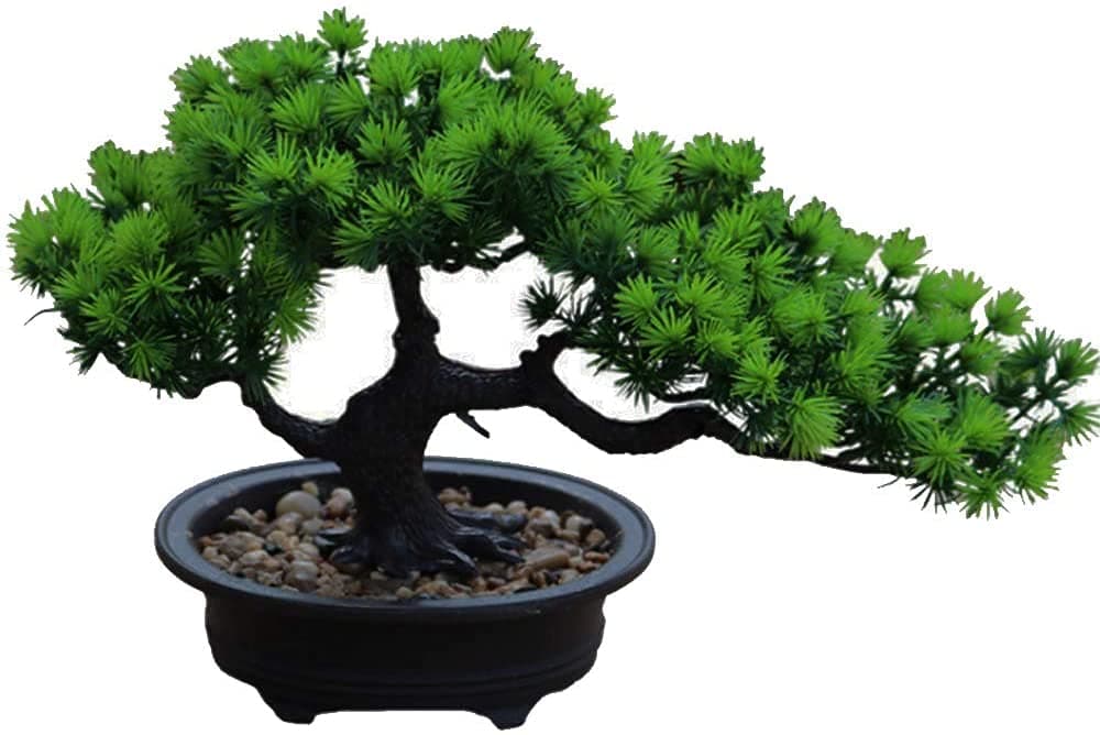 Baby Groot Bonsai Bowl