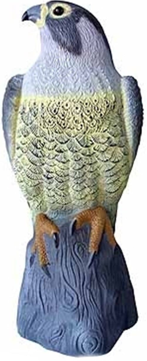 Large Falcon Bird Deterrent/ Garden Bird/ Decorative Item