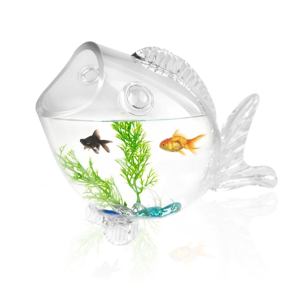| Clear Fish Shaped Bowl Aquarium Tank with Durable Thick Glass | Multiuse for Goldfish Candy Shell Plant Display Home Décor | 1417