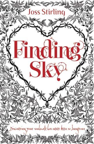 Finding Sky (Savant Series Book 1)