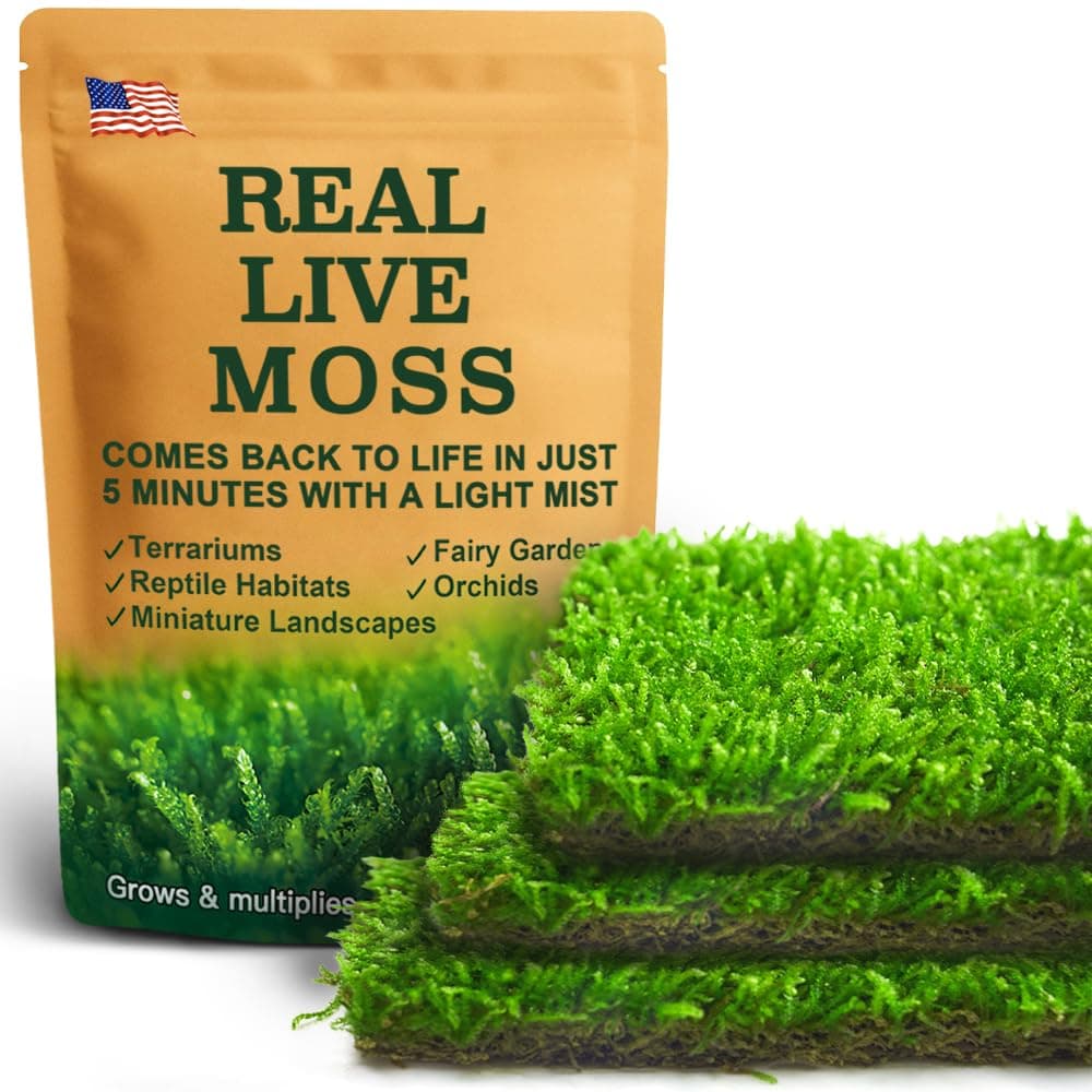 Real Live Hypnum Moss (8"x8") – Natural Sheet Moss for Terrariums, Bonsai, Reptile Habitats & Fairy Gardens – Reusable, Easy to Shape & Revives Quickly with Mist