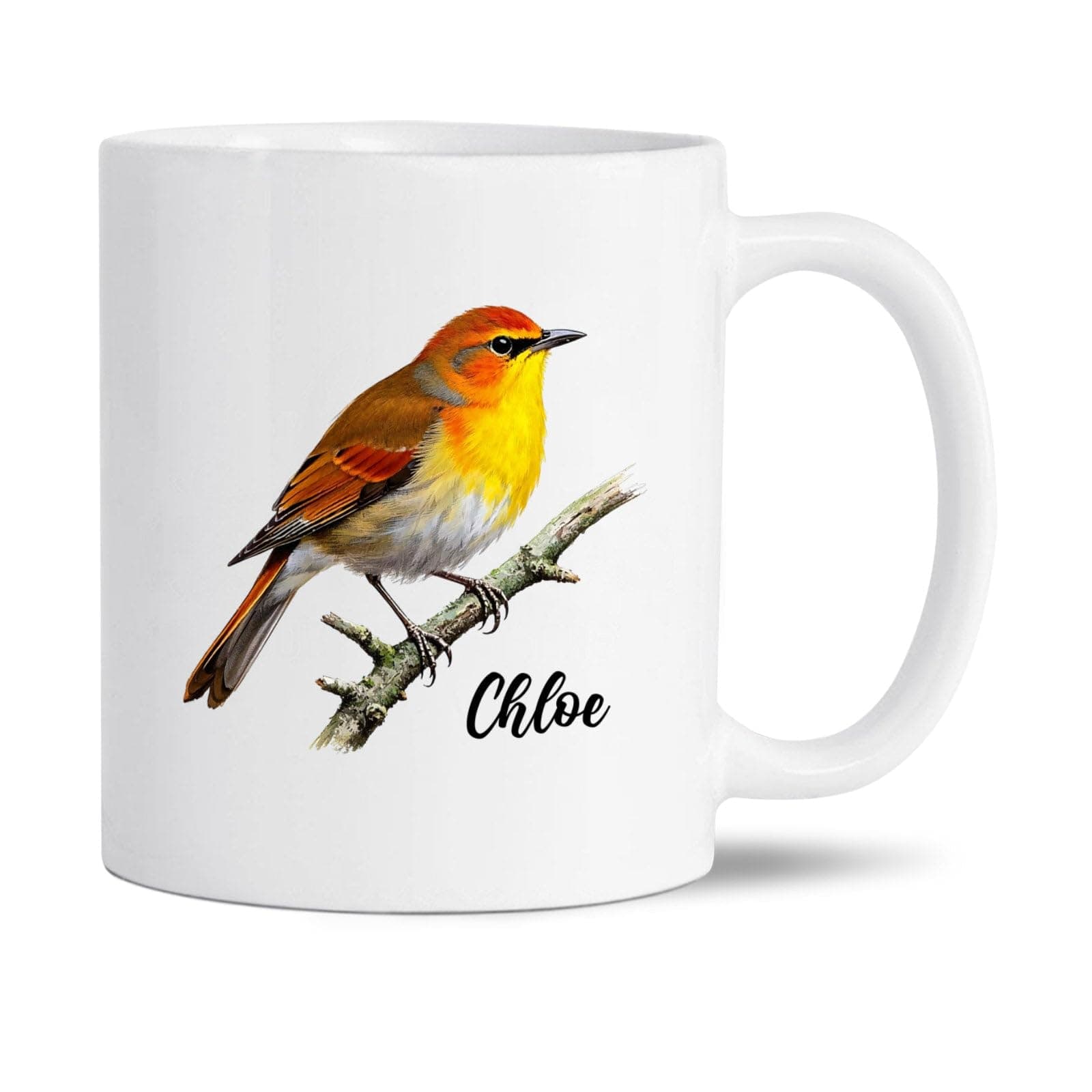 Nightingale Lover Mug, Personalized Bird Themed Travel Ceramic Cup Gift, Customized Name Nightingale Bird White Coffee Mug 11Oz 15Oz, Birds Watcher Cups, Nightingales Mugs Gifts For Men Women
