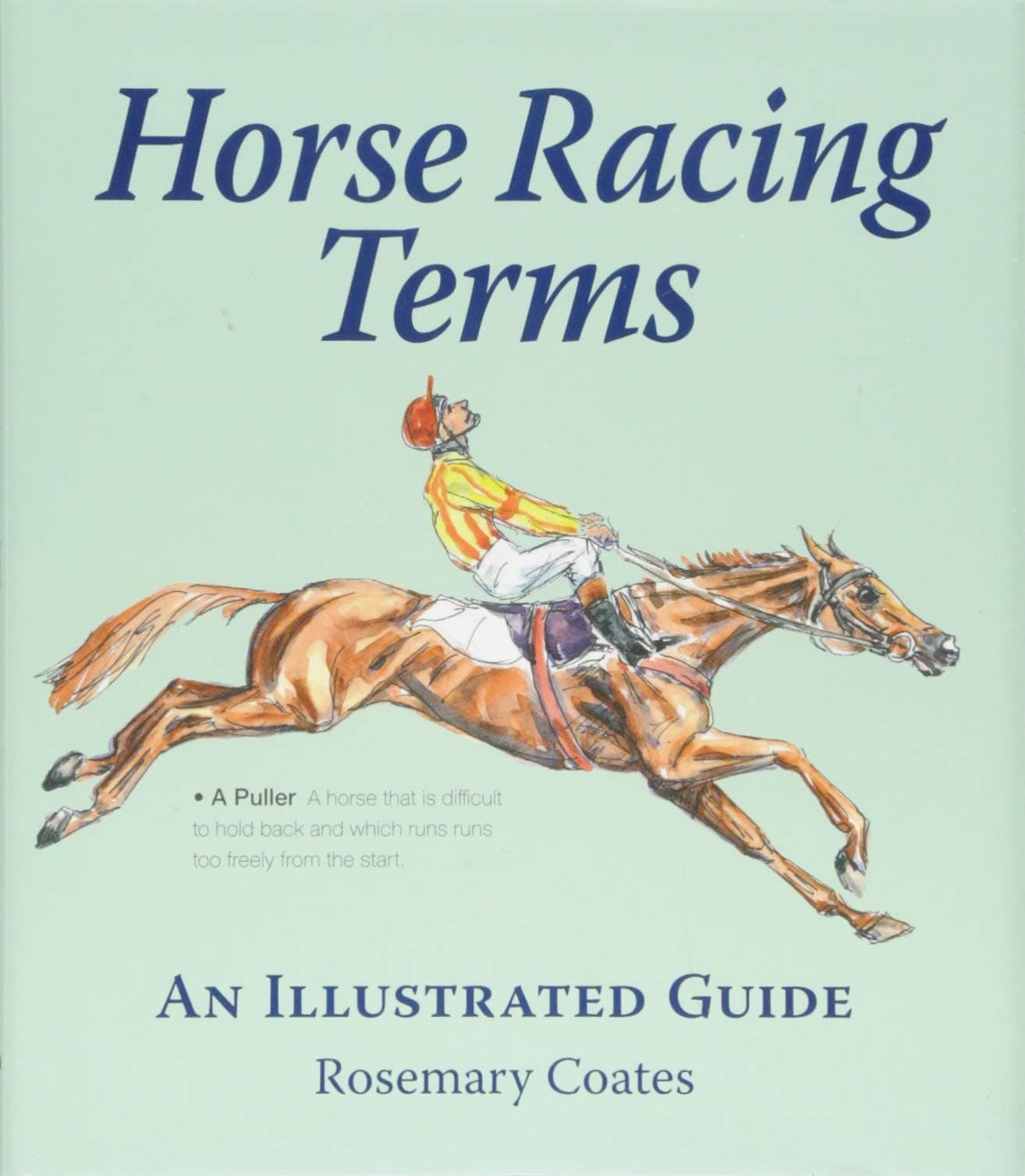 Horse Racing Terms: An illustrated guide