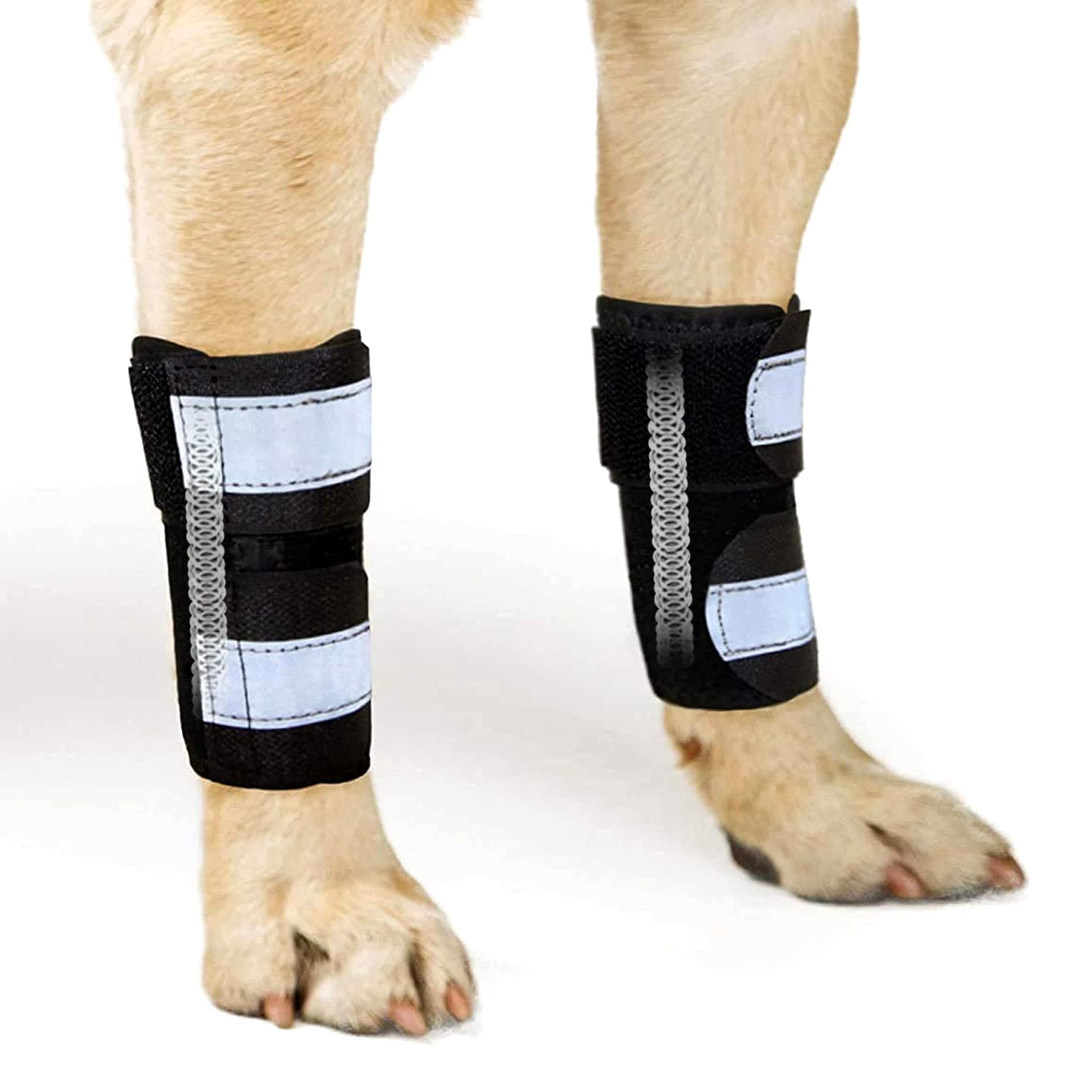 NeoAlly Pair Dog Front Leg Braces Super Supportive with Metal Spring Strips to Stabilize and Support Canine Front Leg Wrist Carpal, Prevent Leg Injuries Sprains Arthritis (Pair) (S/M, Black)